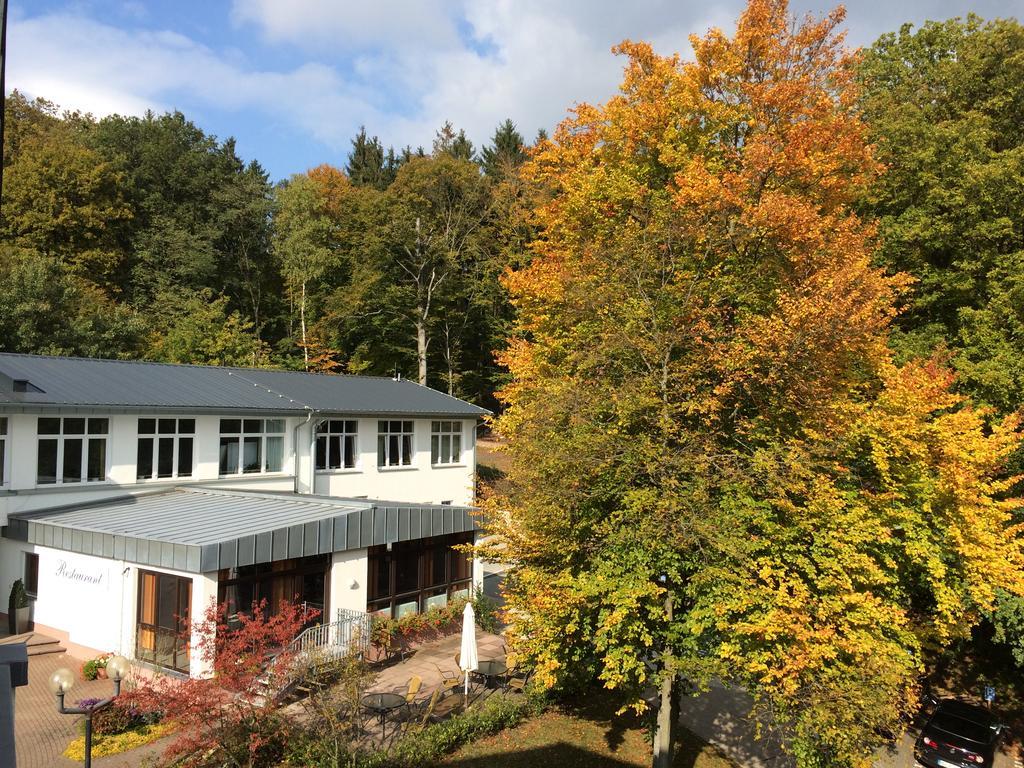 Taunustagungshotel Friedrichsdorf Zewnętrze zdjęcie